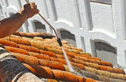 Nettoyage de toitures - Villeneuve-les-Bordes